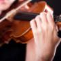 Musician