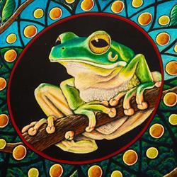 Frogs Kuranda