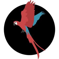 Four Drunk Parrots
