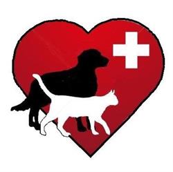 Mossman Veterinary Surgery- Port Douglas, Mossman and Douglas Shire Vet Care.