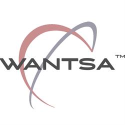 Wantsa