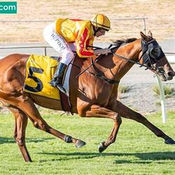 Narrogin Race And Pace