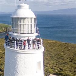 Bruny Island Safaris