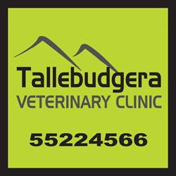Tallebudgera Veterinary Clinic highly recommends pet insurance.