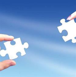 Synergy Business Advisers