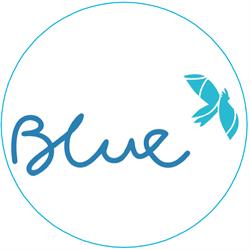Blue Travel Pty Ltd