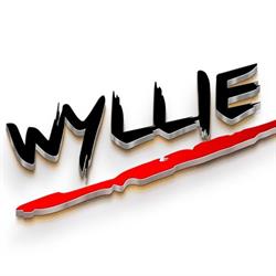 Wyllie Martial Arts