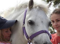 Highfield Equestrian Centre