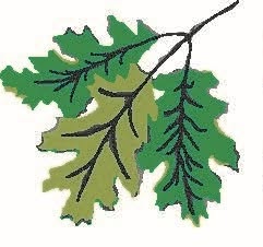 Southern Highlands Community Hospice