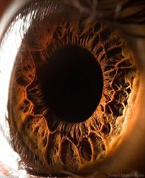 Oxford Eyecare & Hearing