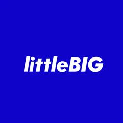 littleBIG Marketing
