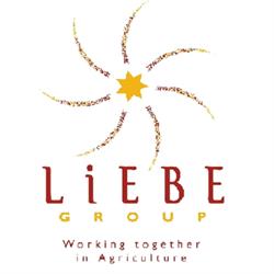 What is The Liebe Group
