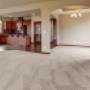 carpet clean