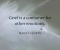 Grief is a Container for Other Emotions