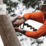 Tree Lopping Sunshine Coast