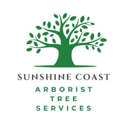 Sunshine Coast Arborist Tree Service