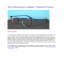 Van Staveren Ladies' Optical Frame