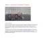 Marc Vincent Optical Frame
