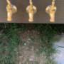Fluid Plumbing & Gas Services
