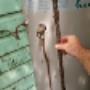 A sacrificial anode doing its job