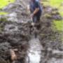 Back up and running a new sewer