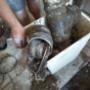 Blocked Drains Clearing and Cleaning
