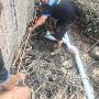 fix leaking pipes