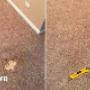 Invisible Carpet Repair Melbourne