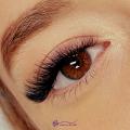 Volume Lashes New full set