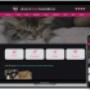 Animal shelter website design