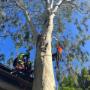 # 12