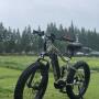 ebike boys sydney