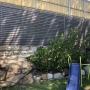 privacy screen