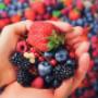 Dietitian