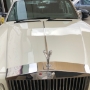 Pristine Old Rolls Royce