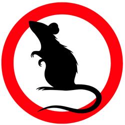 Dandenong Pest Control Pty Ltd