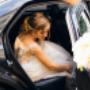 Wedding Car Hire