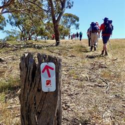 Friends of the Heysen Trail