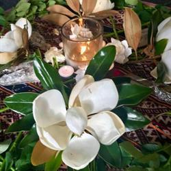 The Healing Space Bondi Junction.