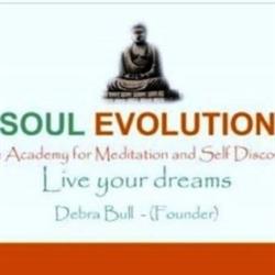 Soul Evolution