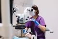 Navigating Dental Care in Annandale Questions You Should Ask Your Dentist