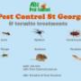 Pest Control St George