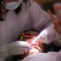 Dental