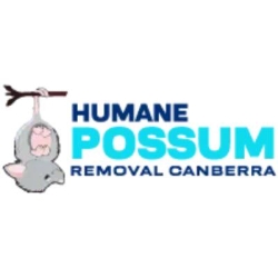 Humane Possum Removal Canberra