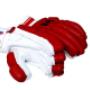 Hand Gloves