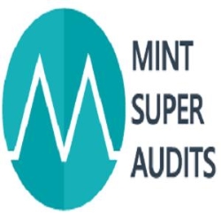 Mint Super Audits