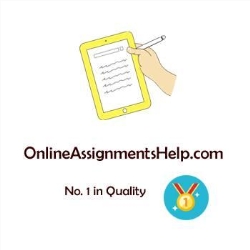 Online Assignments Help