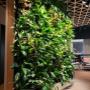 Green Walls