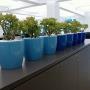 Indoor Pots Small