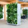 Mobile Green Walls